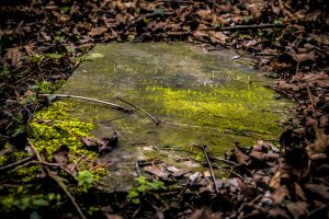 fotoworkshop4y_ou-pixabay-tombstone-1558671_1920