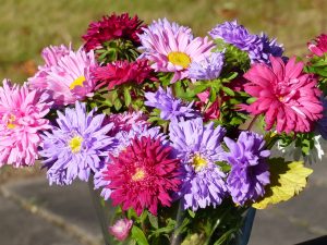tingeling-pixabay-flowers-1720327_1920